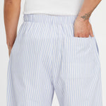 Lunar Pant - Light Blue & Burgundy Striped Cotton