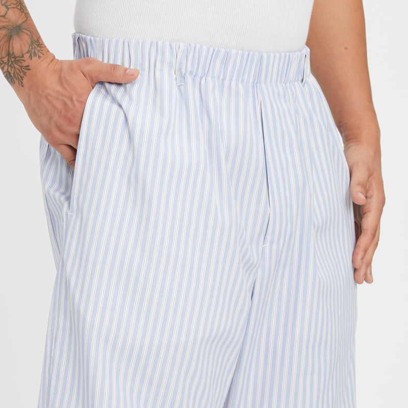 Lunar Pant - Light Blue & Burgundy Striped Cotton