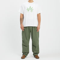 M100 Pant - Olive Cotton