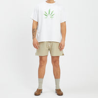 MT Short - Beige Linen / Cotton