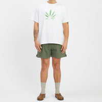 MT Short - Olive Cotton